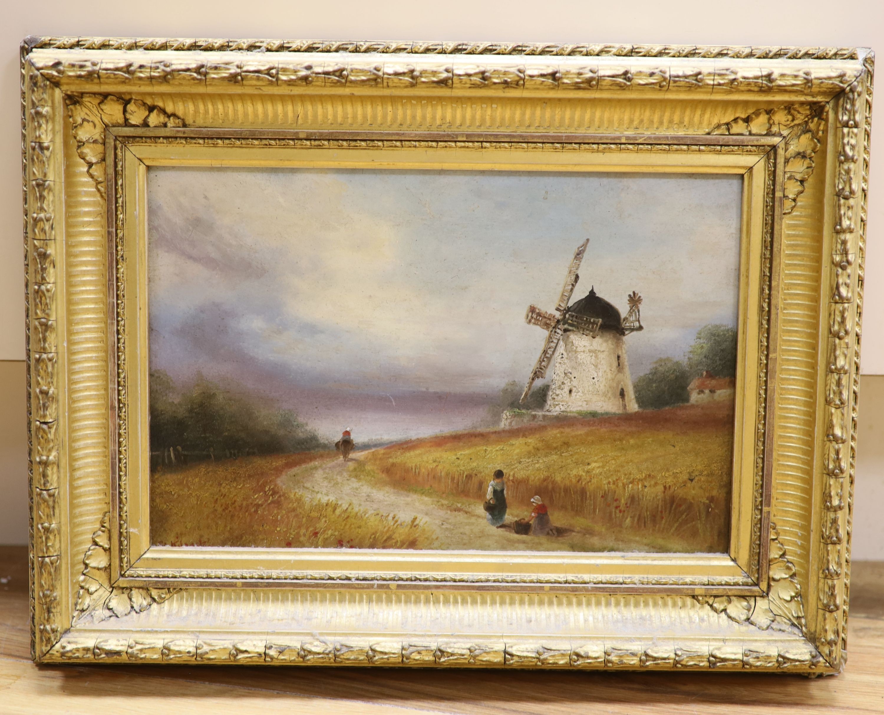 Sarah Louise Kilpack, oil on board, Lane through a cornfield with windmill beyond, signed, 19 x 30cm